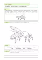 Vorschau - Arbeitsblätter - Bienen - komplette Unterrichtseinheit | Klasse 5-7 - Seite 2