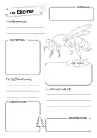 Vorschau - Arbeitsblätter - Bienen - komplette Unterrichtseinheit | Klasse 5-7 - Seite 3