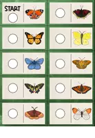 Vorschau - Unterrichtsreihen - Der Schmetterling - XXL Materialpaket - Seite 2