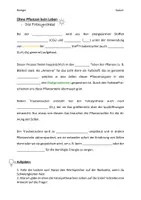 Vorschau - Arbeitsblätter - Lückentext zur Fotosynthese - SekI - Seite 1