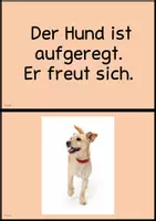 Vorschau - Präsentationen/Tafelbilder - Schulbegleithund Körpersprache / Satz- und Wortkarten (Tafelmaterial) - Seite 1