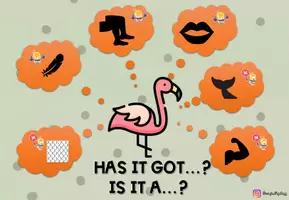 Vorschau - Arbeitsblätter - ANIMALS TO DESCRIBE - Seite 3