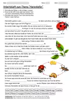 Vorschau - Arbeitsblätter - Arbeitsblatt "Marienkäfer" + Onlineübung & MP3 + Infografik - Deckblatt