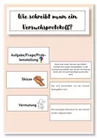 Vorschau - Spiele - Zuordnungsspiel Versuchsprotokoll schreiben Biologie - Deckblatt