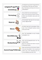 Vorschau - Spiele - Zuordnungsspiel Versuchsprotokoll schreiben Biologie - Seite 3