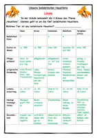 Vorschau - Arbeitsblätter - Unsere beliebtesten Haustiere - Logical für die Grundschule - Seite 2