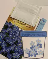 Vorschau - Mal- und Bastelvorlagen - Abschied Abschluss Zeugnis Vergissmeinnicht - Deckblatt