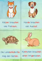 Vorschau - Arbeitsblätter - Schreibspaziergang Haustiere in Druckschrift (Satz) - in Silbenschrift - Seite 1