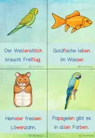 Vorschau - Arbeitsblätter - Schreibspaziergang Haustiere in Druckschrift (Satz) - in Silbenschrift - Seite 2