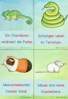 Vorschau - Arbeitsblätter - Schreibspaziergang Haustiere in Druckschrift (Satz) - in Silbenschrift - Seite 3
