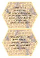 Vorschau - Poster - Die Biene - Lesekärtchen zum Lesen, Zuordnen oder als Tafelbild / Honigbiene - Deckblatt