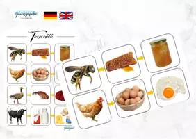 Vorschau - Stationenlernen - Farmprodukte, Tierprodukte, Produkte von Tieren - Deckblatt