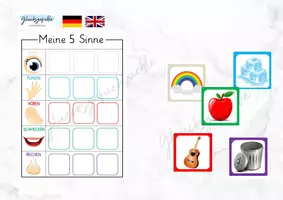 Vorschau - Arbeitsblätter - 5 Fünf Sinne Sortier Aktivität, 5 senses, Match - Deckblatt