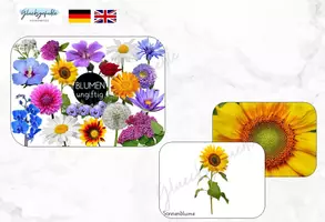 Vorschau - Stationenlernen - Erforschen ungiftige Blumen in der Natur - Deckblatt
