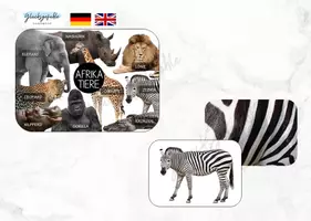 Vorschau - Stationenlernen - Afrika Tiere, Merk dir das, Merkspiel - Deckblatt