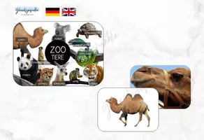 Vorschau - Spiele - Zootiere Animal Lernspiel, Learning Game - Deckblatt