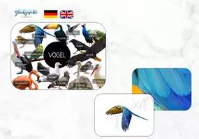 Vorschau - Stationenlernen - Vogel Birds Flash Cards, Merkspiel - Deckblatt