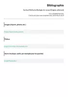 Aperçu - Feuilles d'exercices - Suchsel Rotfuchs Biologie du renard Énigme allemand - Page 3