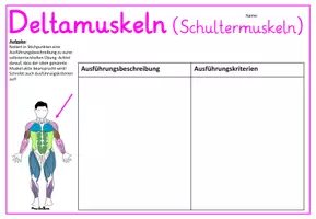 Vorschau - Präsentationen/Tafelbilder - MUSKELN - Gruppenkarten und Arbeitsblätter - Deckblatt