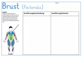 Vorschau - Präsentationen/Tafelbilder - MUSKELN - Gruppenkarten und Arbeitsblätter - Seite 1