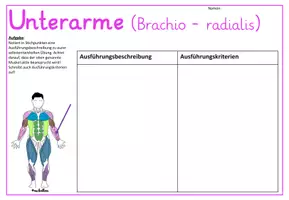 Vorschau - Präsentationen/Tafelbilder - MUSKELN - Gruppenkarten und Arbeitsblätter - Seite 2