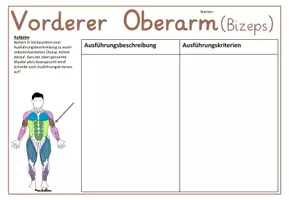 Vorschau - Präsentationen/Tafelbilder - MUSKELN - Gruppenkarten und Arbeitsblätter - Seite 3