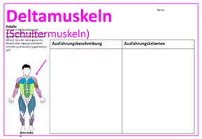 Vorschau - Arbeitsblätter - MUSKELN Gruppenkarten + Arbeitsblätter *EDITIERBAR - Seite 1