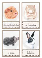 Vorschau - Präsentationen/Tafelbilder - Animales - Bild- und Wortkarten (Spanisch) - Seite 1