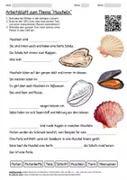 Vorschau - Arbeitsblätter - Lernposter + Arbeitsblatt "Muscheln" + Onlineübung & MP3 + Mindmap + Infografiken - Seite 1