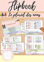 Vorschau - Unterrichtsreihen - Materialpaket: Le pluriel des noms (Pluralbildung) - Seite 1