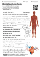 Vorschau - Arbeitsblätter - Lernposter + Arbeitsblatt "Muskeln" + Onlineübung & MP3 + Mindmap + Infografiken - Seite 1