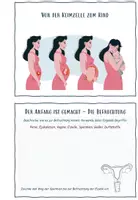 Vorschau - Arbeitsblätter - Arbeitsheft Schwangerschaft - Entwicklung von Embryo und Fötus - Seite 2
