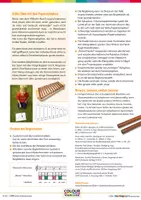 Vorschau - Anderer Materialtyp - Sommer, endlich Sommer - Orff- leicht gemacht - Seite 3