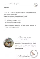 Vorschau - Arbeitsblätter - Angepasstheit und Selektion spielerisch entdecken - Seite 2