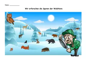 Vorschau - Unterrichtsreihen - Waldtiere und ihre Spuren Arbeitsblätter - Seite 3