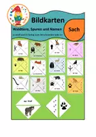 Vorschau - Präsentationen/Tafelbilder - Spuren Waldtiere Tafelbilder Legekarten - Deckblatt