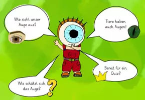Vorschau - Interaktives Material - Interaktive Pdf- Datei- Aufbau und Schutz Auge - Seite 2