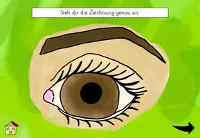 Vorschau - Interaktives Material - Interaktive Pdf- Datei- Aufbau und Schutz Auge - Seite 3