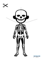 Vorschau - Spiele - Körper Puzzle 7 teilig, Biologie, Menschlicher Körper - Seite 1