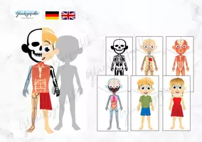 Vorschau - Spiele - Körper Puzzle 7 teilig, Biologie, Menschlicher Körper - Deckblatt