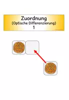 Vorschau - Fördermaterial/Inklusion - Zuordnung, optische Differenzierung, Donuts - Seite 1