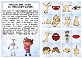 Vorschau - Arbeitsblätter - Lesespaziergang Körper - Seite 1