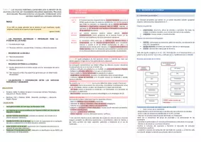 Vista previa - Evaluación - Oposiciones Pedagogía Terapéutica: esquema tema 7 - página 1