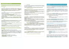 Vista previa - Evaluación - Oposiciones Pedagogía Terapéutica: esquema tema 7 - página 3