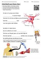 Vorschau - Arbeitsblätter - Arbeitsblatt "Nerv" + Onlineübung & MP3 + - Deckblatt