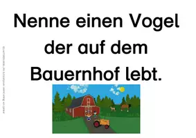 Vorschau - Spiele - Tafelspiel Haustiere, Bauerhoftiere (Rind, Schwein, Huhn) - Seite 3