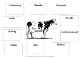 Vorschau - Arbeitsblätter - Mindmap Haustiere, Bauernhoftiere (Huhn, Rind, Schwein) SAS - Seite 3