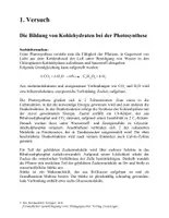 Vorschau - Experimente - Photosysnthese - Seite 3