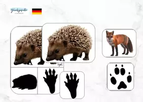 Vorschau - Spiele - Fußspuren Wald Tiere, Forscher Set - Deckblatt