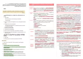 Vista previa - Unidades / Secuencias / Situaciones de Aprendizaje - Oposiciones Pedagogía Terapéutica: Pack esquemas (temas del 1 al 9) - página 3